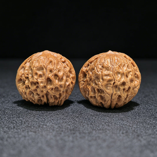 "Grand Reunion" Datuanyuan Wenwan Walnuts Pair | 43.0mm x 44.0mm | TY-1501C - ThePatinaProject