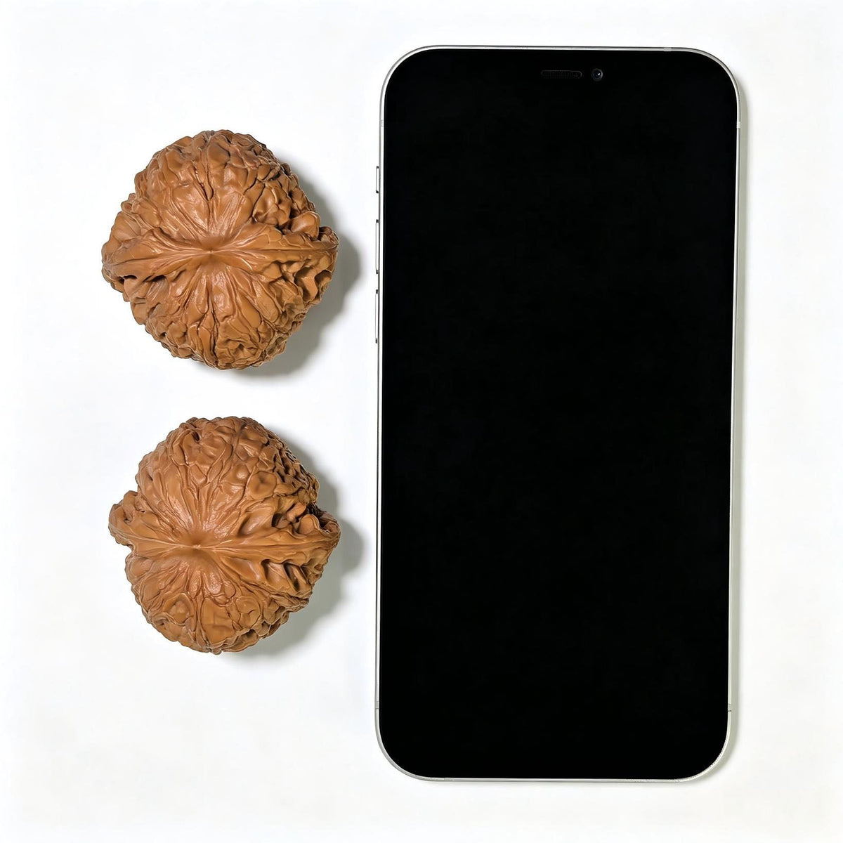 "Grand Reunion" Datuanyuan Wenwan Walnuts Pair | 45.0mm x 45.0mm | DTY-1551C - ThePatinaProject