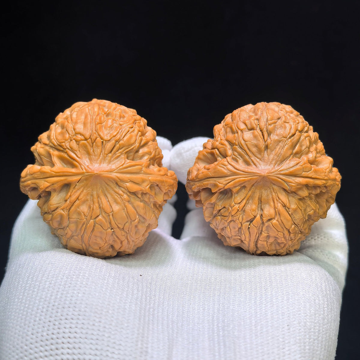 "Grand Reunion" Datuanyuan Wenwan Walnuts Pair | 45.0mm x 45.0mm | DTY-1551C - ThePatinaProject