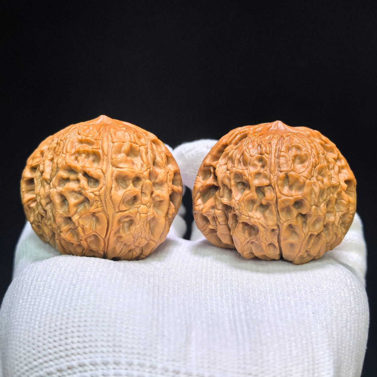 "Grand Reunion" Datuanyuan Wenwan Walnuts Pair | 45.0mm x 45.0mm | DTY-1551C - ThePatinaProject