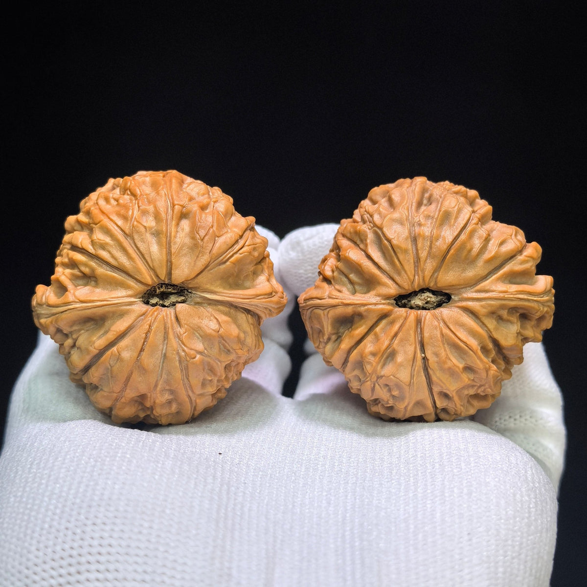 "Grand Reunion" Datuanyuan Wenwan Walnuts Pair | 45.0mm x 45.0mm | DTY-1551C - ThePatinaProject
