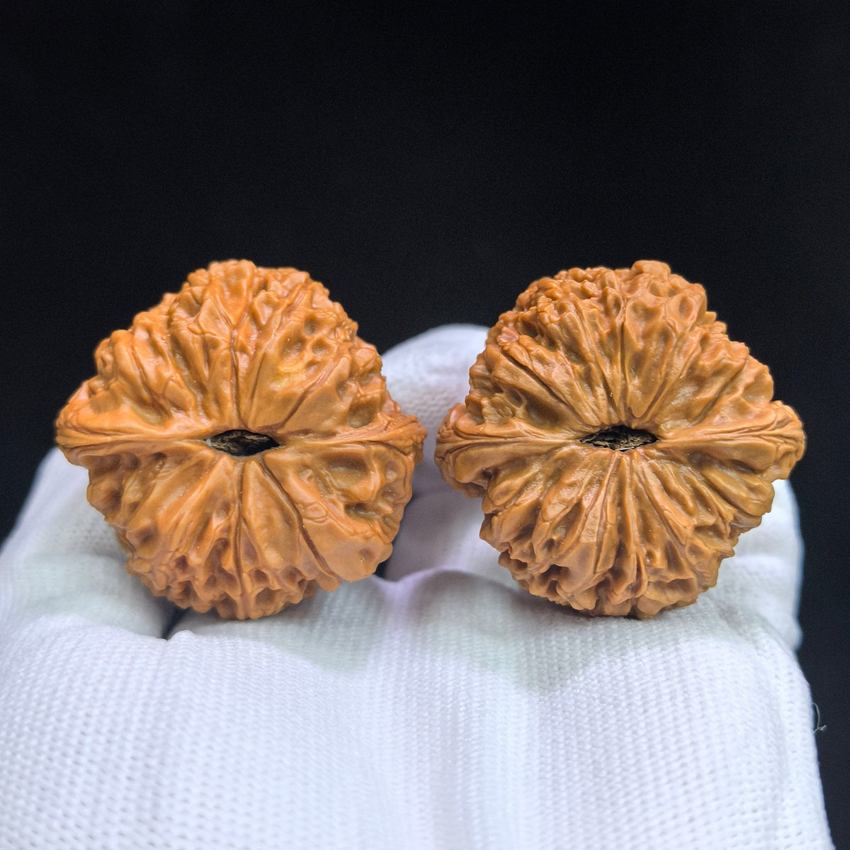 "Grand Reunion / Great Sphere" Datuanyuan DTY-17C6C Low-Profile Wenwan Walnuts Pair | 41.0mm x 41.0mm | DTY-17C6C - ThePatinaProject