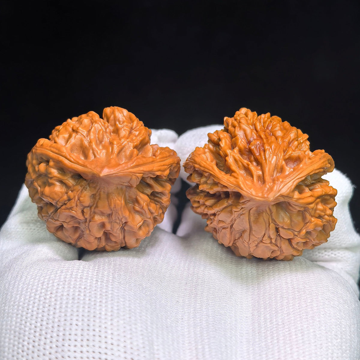 "Guan Mao Fei She" GMFS-CG1A7E Collector Lineage Wenwan Walnuts Pair | 41.0mm x 38.0mm | Stock ID: GMFS-CG1A7E - ThePatinaProject