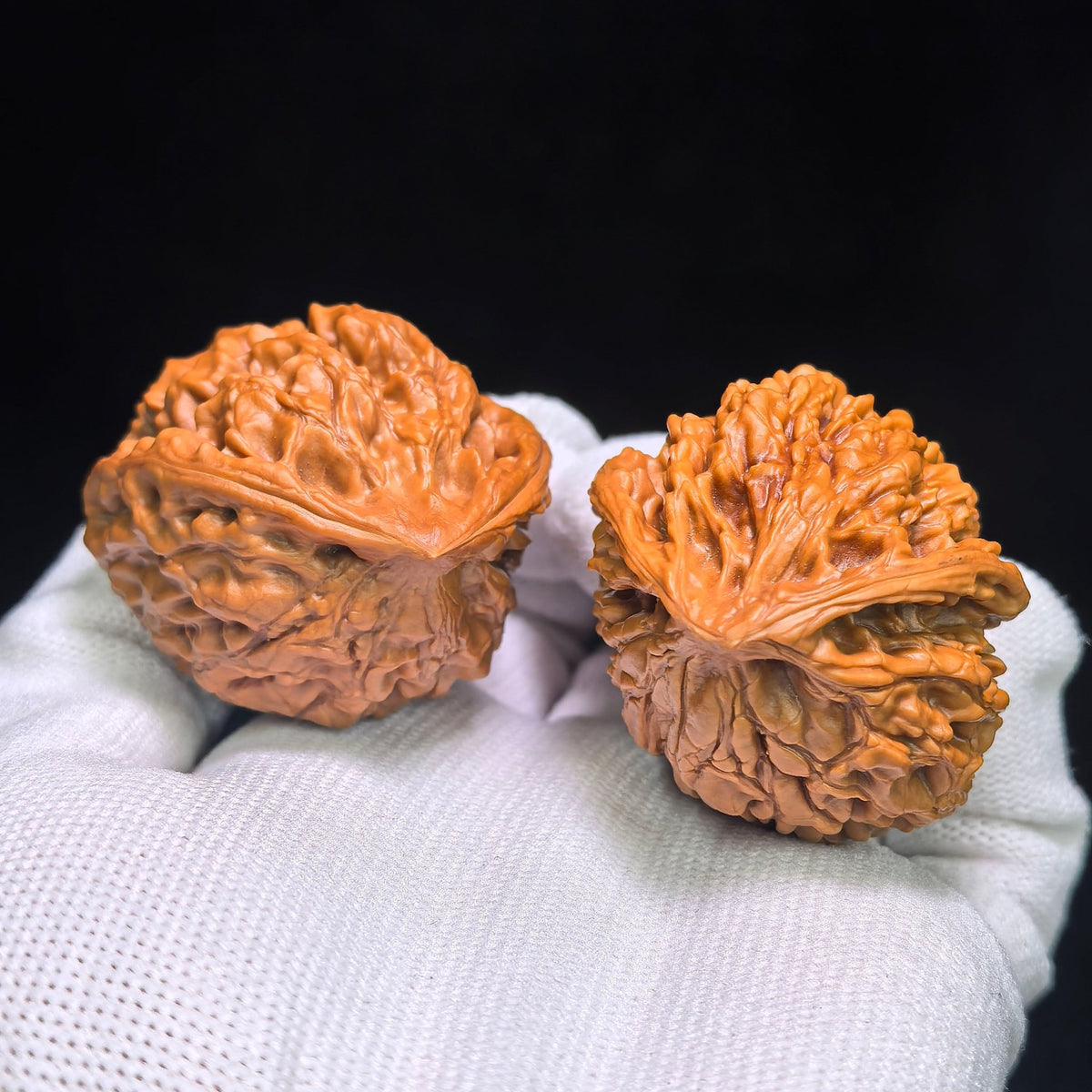 "Guan Mao Fei She" GMFS-CG1A7E Collector Lineage Wenwan Walnuts Pair | 41.0mm x 38.0mm | Stock ID: GMFS-CG1A7E - ThePatinaProject