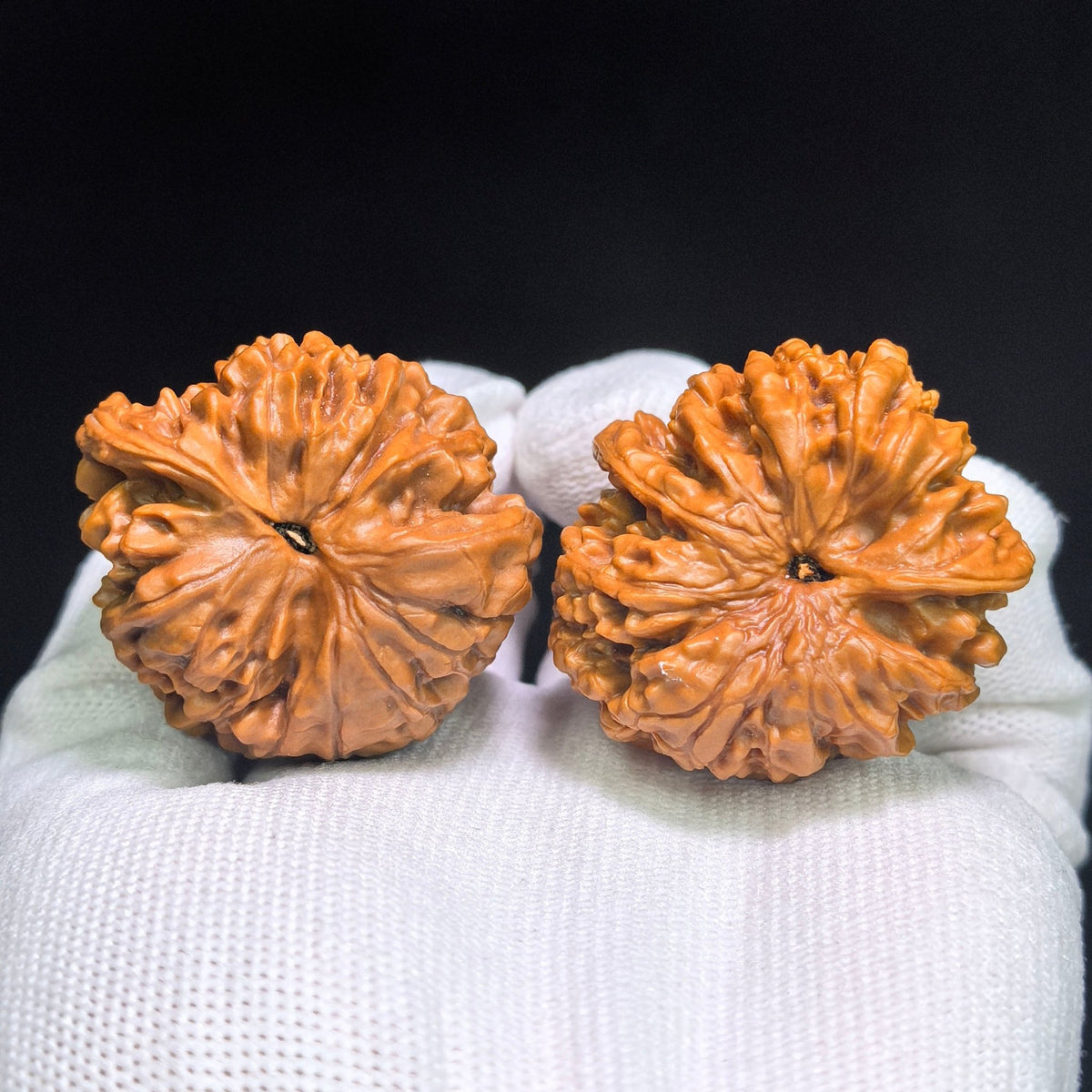 "Guan Mao Fei She" GMFS-CG1A7E Collector Lineage Wenwan Walnuts Pair | 41.0mm x 38.0mm | Stock ID: GMFS-CG1A7E - ThePatinaProject