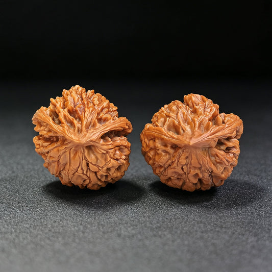 "Guan Mao Fei She" GMFS-CG1A7E Collector Lineage Wenwan Walnuts Pair | 41.0mm x 38.0mm | Stock ID: GMFS-CG1A7E - ThePatinaProject