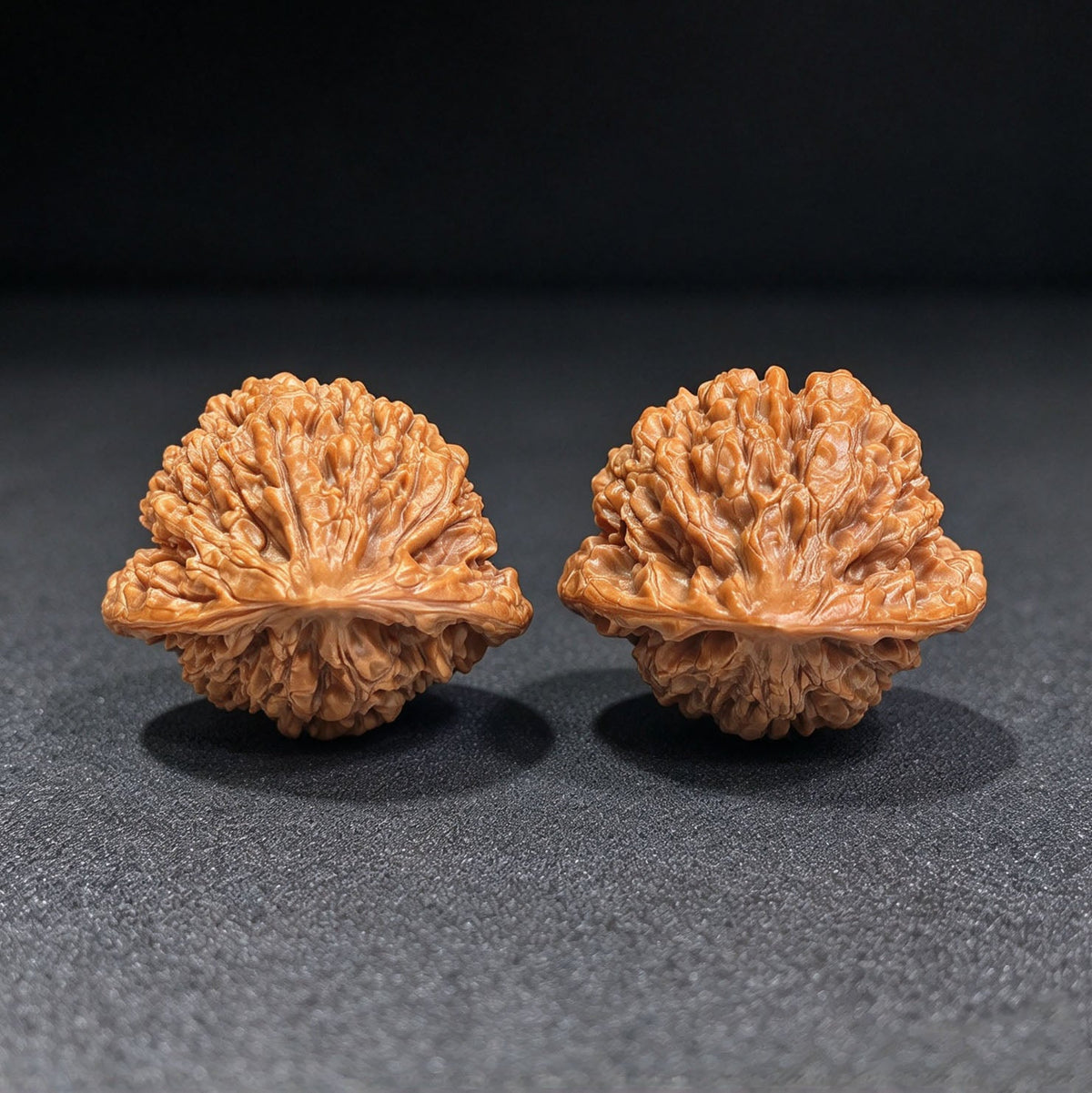 "Guan Mao Wu Gui Bei / Official Hat Turtle Back" Heirloom Collection Wenwan Walnuts Pair | 47.0mm x 41.0mm | GMWB-C1C6E - ThePatinaProject