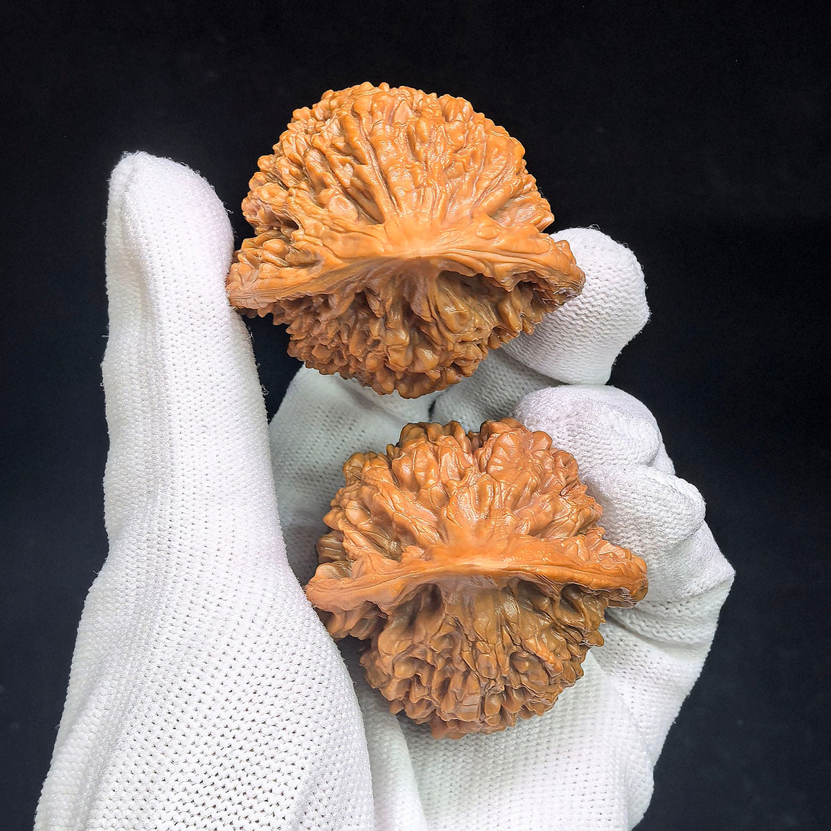"Guan Mao Wu Gui Bei / Official Hat Turtle Back" Heirloom Collection Wenwan Walnuts Pair | 47.0mm x 41.0mm | GMWB-C1C6E - ThePatinaProject