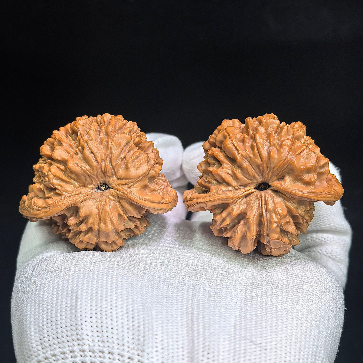 "Guan Mao Wu Gui Bei / Official Hat Turtle Back" Heirloom Collection Wenwan Walnuts Pair | 47.0mm x 41.0mm | GMWB-C1C6E - ThePatinaProject