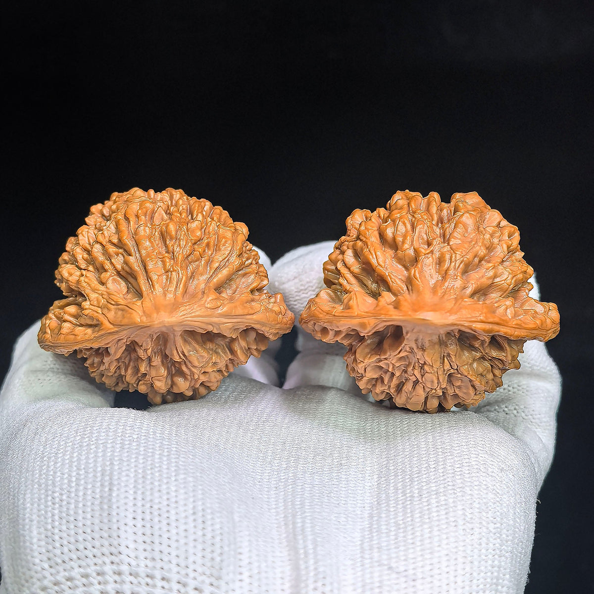 "Guan Mao Wu Gui Bei / Official Hat Turtle Back" Heirloom Collection Wenwan Walnuts Pair | 47.0mm x 41.0mm | GMWB-C1C6E - ThePatinaProject