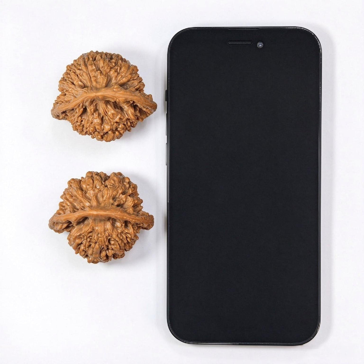 "Guan Mao Wu Gui Bei / Official Hat Turtle Back" Heirloom Collection Wenwan Walnuts Pair | 47.0mm x 41.0mm | GMWB-C1C6E - ThePatinaProject