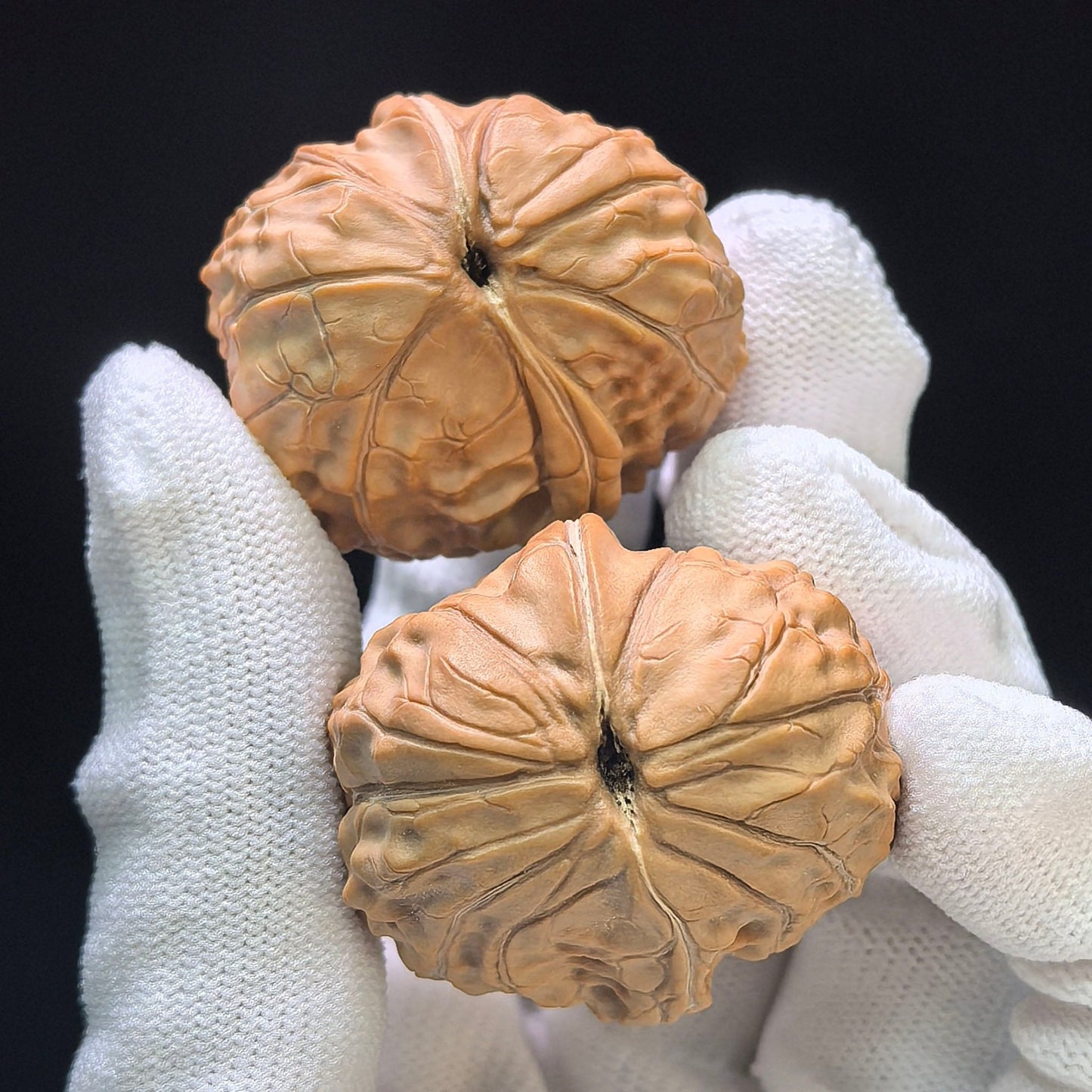 Guijiawen Banbi (Turtle Shell Half-Wall) Scholar Walnuts Pair | 32.0mm x 37.0mm | Stock ID: GJWBB-401E - ThePatinaProject