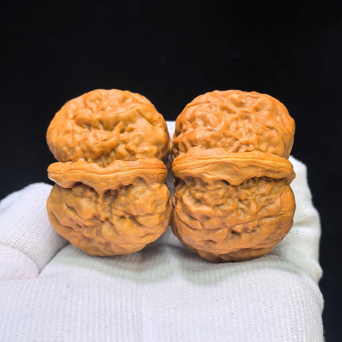 Hamatou (Toad Head) Premium Select Pair | 43.0mm x 42.0mm | Classic Low-Profile Ingot Posture | Stock ID: HMT-401C - ThePatinaProject