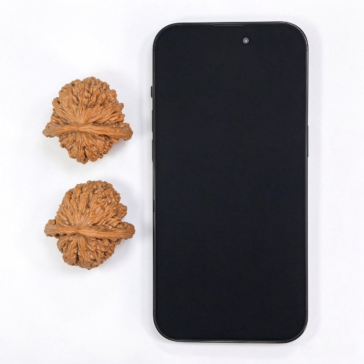 "Han Gao Lou Wu Gui Bei / Han High-Tower Turtle Back" Heirloom Collection Wenwan Walnuts Pair | 40.0mm x 41.0mm | HGLB-C1C2E - ThePatinaProject