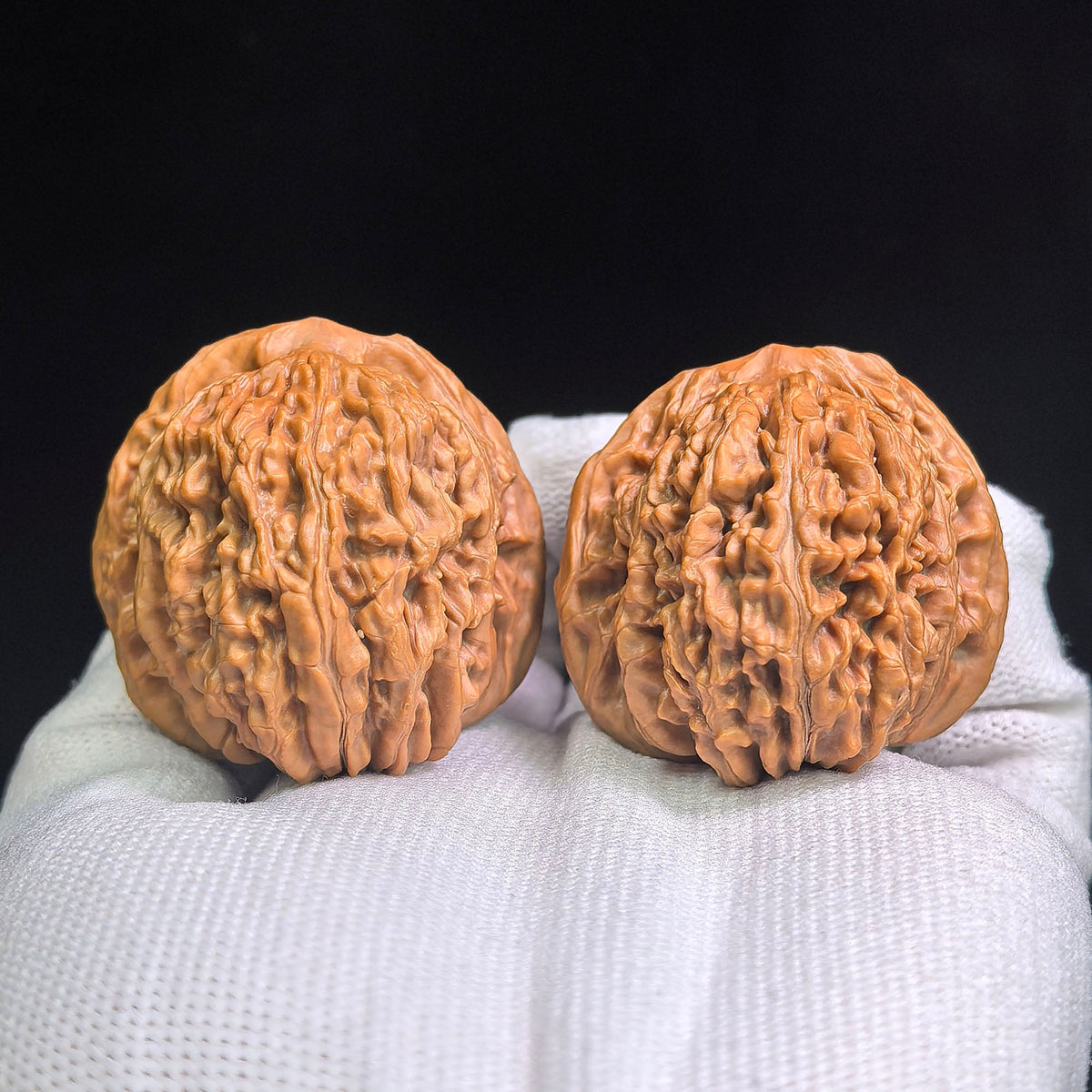 "Han Gao Lou Wu Gui Bei / Han High-Tower Turtle Back" Heirloom Collection Wenwan Walnuts Pair | 40.0mm x 41.0mm | HGLB-C1C2E - ThePatinaProject