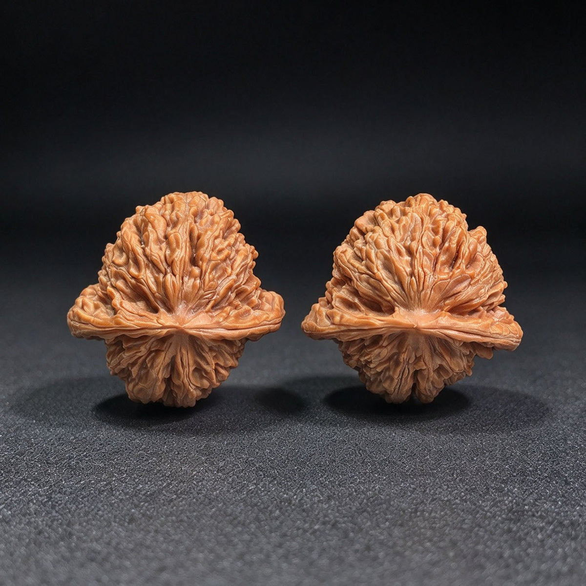 "Han Gao Lou Wu Gui Bei / Han High-Tower Turtle Back" Heirloom Collection Wenwan Walnuts Pair | 40.0mm x 41.0mm | HGLB-C1C2E - ThePatinaProject
