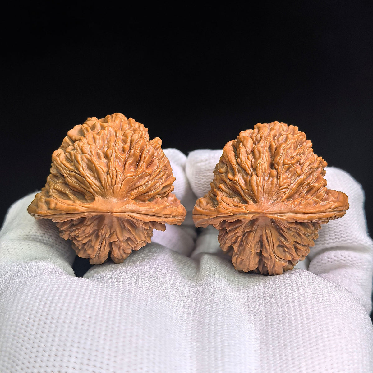 "Han Gao Lou Wu Gui Bei / Han High-Tower Turtle Back" Heirloom Collection Wenwan Walnuts Pair | 40.0mm x 41.0mm | HGLB-C1C2E - ThePatinaProject