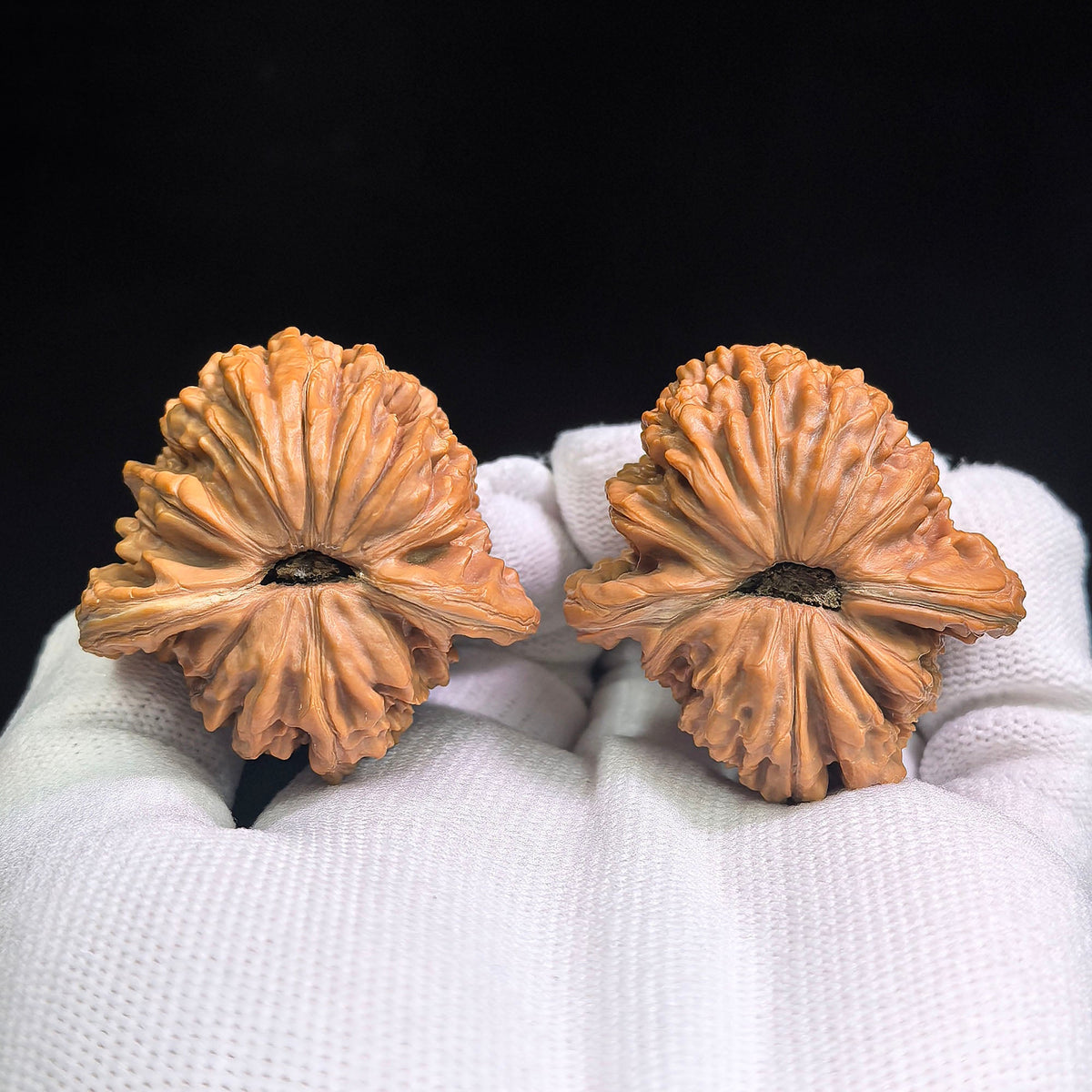 "Han Gao Lou Wu Gui Bei / Han High-Tower Turtle Back" Heirloom Collection Wenwan Walnuts Pair | 40.0mm x 41.0mm | HGLB-C1C2E - ThePatinaProject