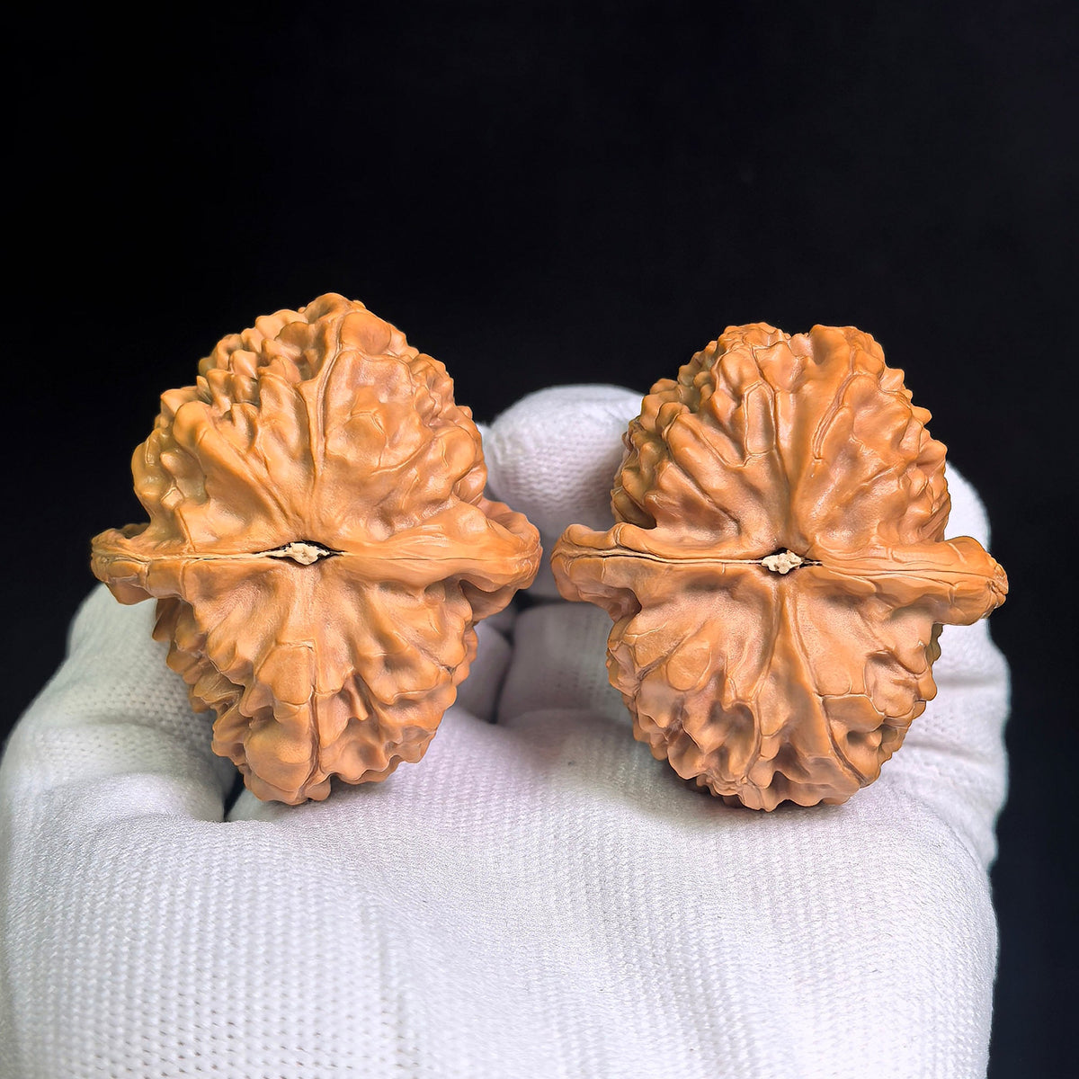 "Happy Reunion" (He Huan) Ultra-Plump Pair | Walnut Pair | Massive "Ultra-Plump" Geometry | HH-704 - ThePatinaProject