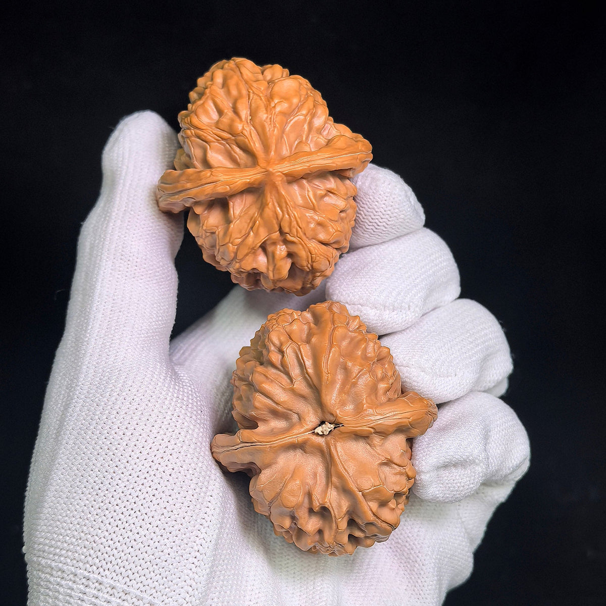 "Happy Reunion" (He Huan) Ultra-Plump Pair | Walnut Pair | Massive "Ultra-Plump" Geometry | HH-704 - ThePatinaProject