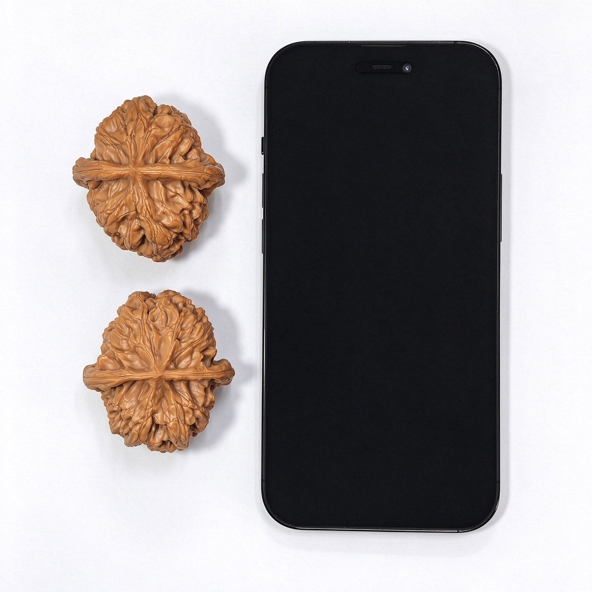 "Happy Reunion" (He Huan) Ultra-Plump Pair | Walnut Pair | Massive "Ultra-Plump" Geometry | HH-704 - ThePatinaProject