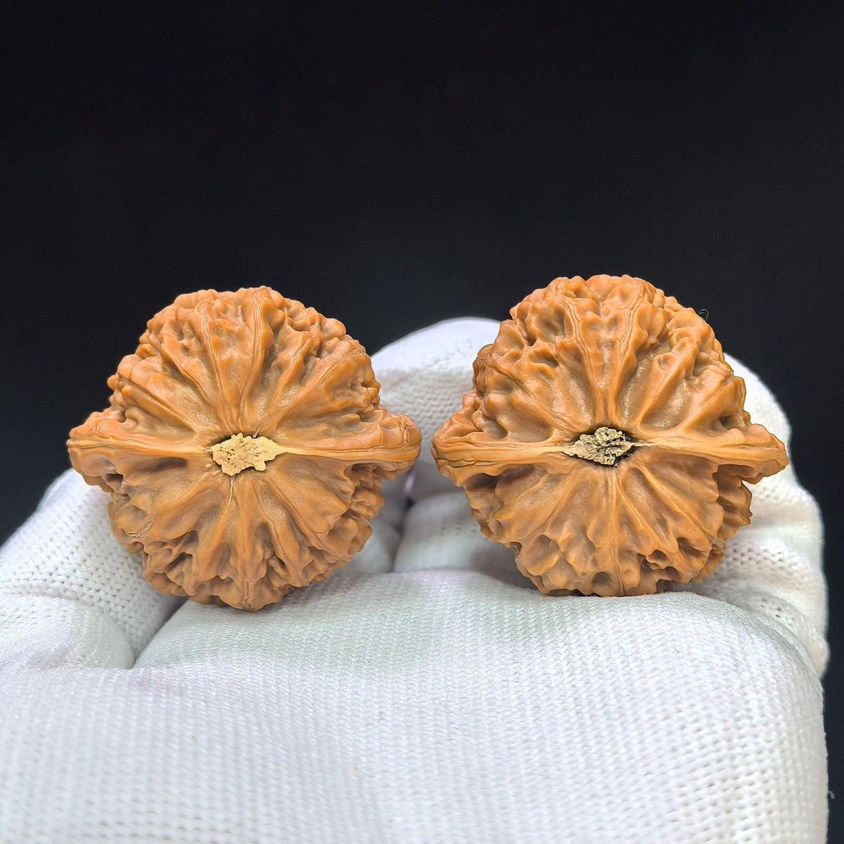 Heart-Shaped Broad-Rimmed Palace Lantern Wenwan Walnut Pair — 38.0mm x 36.0mm | GD-1109 - ThePatinaProject