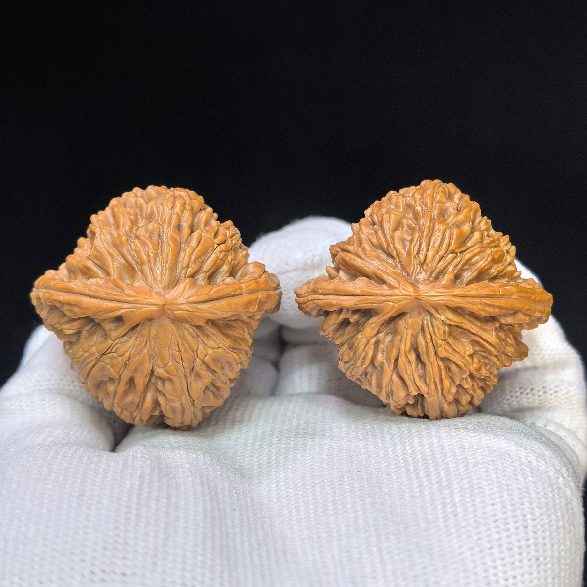 "Heart-Shaped Concave Base White Lion" Aodi Xinxing Baishizi Low-Profile Wenwan Walnuts Pair | 38.0mm x 37.0mm | BSJ-SY1F2 - ThePatinaProject
