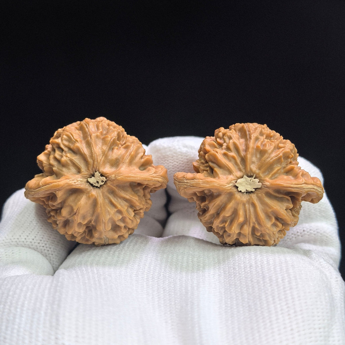 Heart-Shaped Deep-Textured Palace Lantern Wenwan Walnut Pair — 39.0mm x 34.0mm | TXGD-17C3C - ThePatinaProject