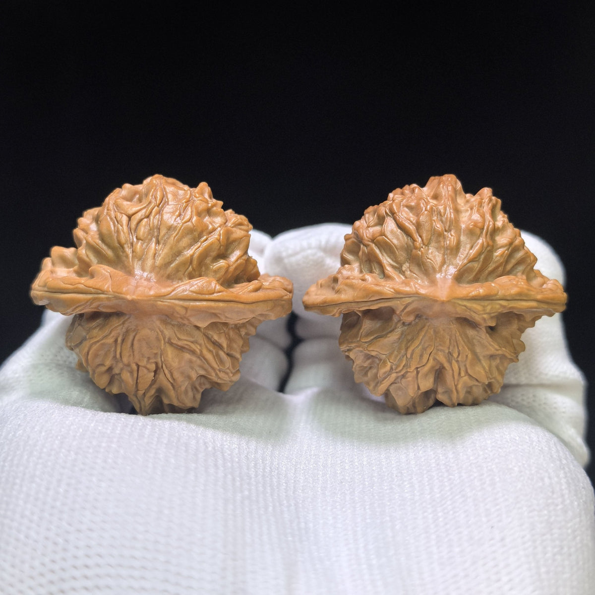 "High Apex Tutu" Gaojian Tutu Wenwan Walnuts Pair | 41.0mm x 39.0mm | TT-1551C - ThePatinaProject