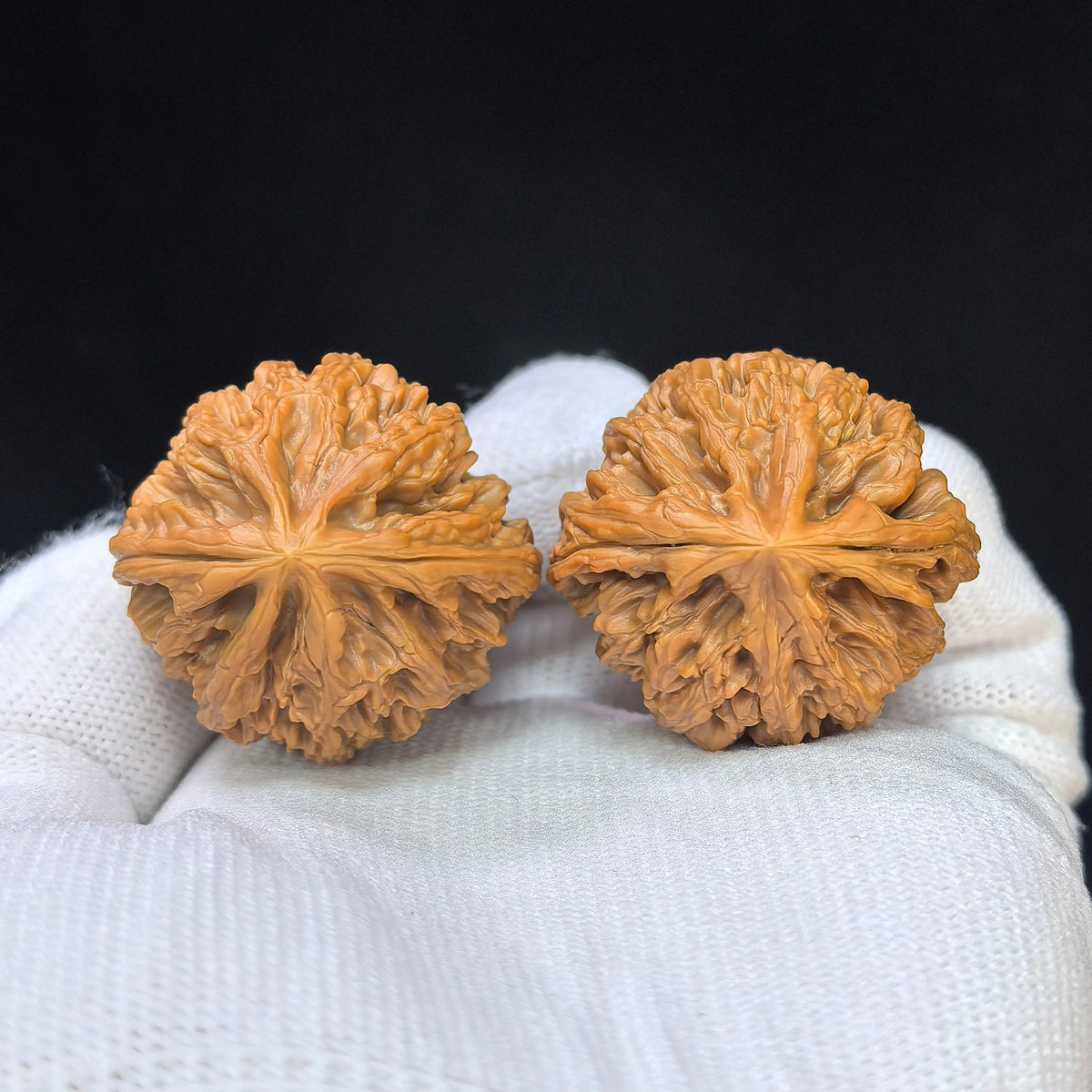 "Holy Flame Medallion / Sheng Huo Ling" Heirloom Collection Wenwan Walnuts Pair | 33.0mm x 31.0mm | SHL-SY1F7 - ThePatinaProject