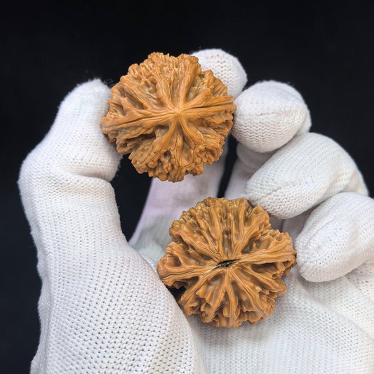 "Holy Flame Medallion / Sheng Huo Ling" Heirloom Collection Wenwan Walnuts Pair | 33.0mm x 31.0mm | SHL-SY1F7 - ThePatinaProject