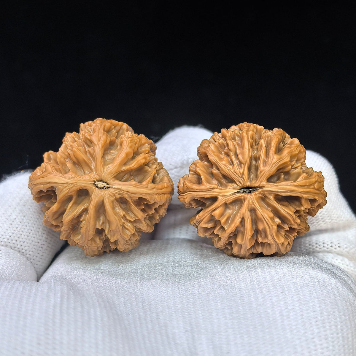"Holy Flame Medallion / Sheng Huo Ling" Heirloom Collection Wenwan Walnuts Pair | 33.0mm x 31.0mm | SHL-SY1F7 - ThePatinaProject