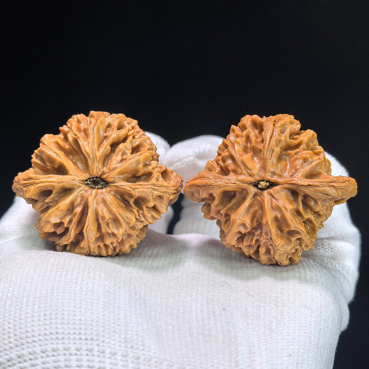 Hu Tou Wang (Tiger Head King) "Peach Heart" Variant Scholar Walnuts | Premium Select 44.0mm x 39.0mm | Stock ID: TXHTW-1351C - ThePatinaProject