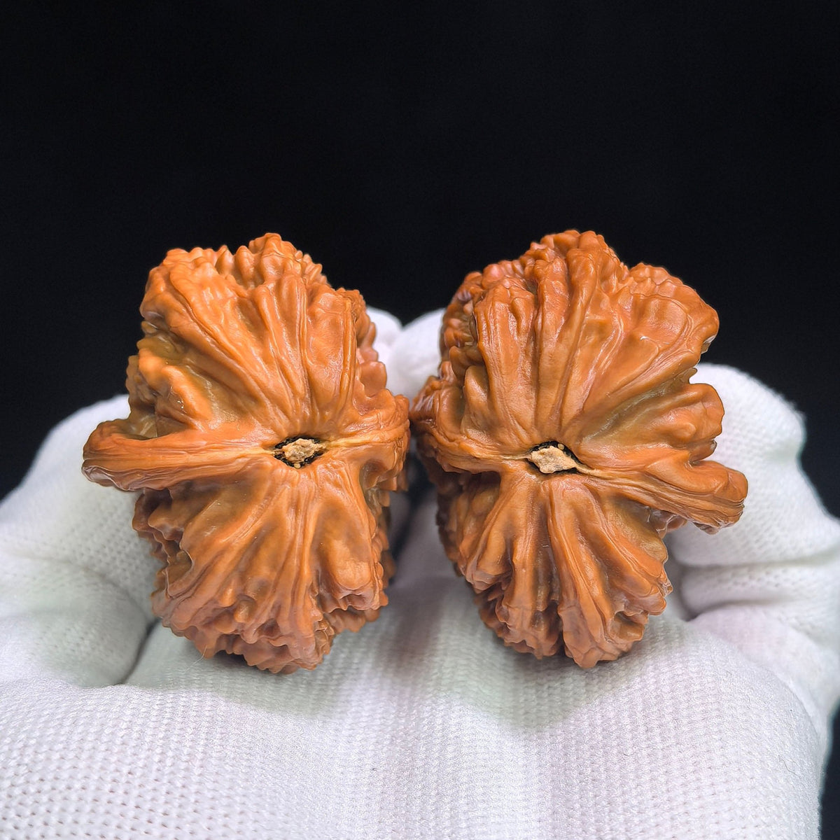 "Hu Tou Zuo Shan Diao Ban Bi" HT-CG1A1E Collector Lineage Wenwan Walnuts Pair | 34.0mm x 43.0mm | Stock ID: HT-CG1A1E - ThePatinaProject