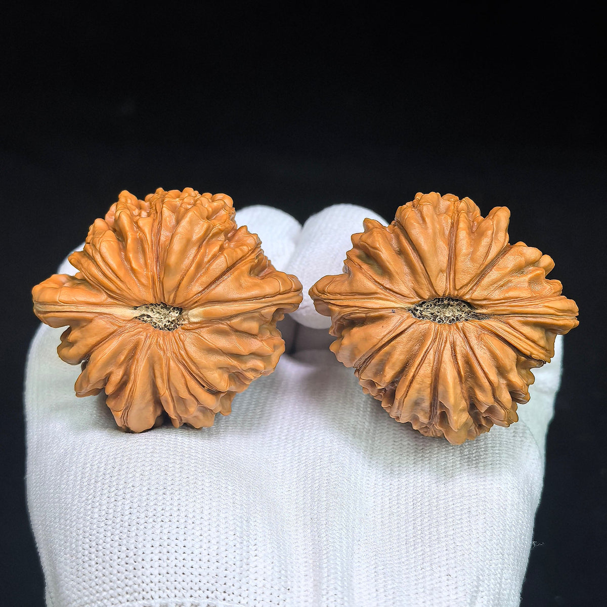 "Hua Kun Long / Chinese Dragon" Heirloom Collection Wenwan Walnuts Pair | 48.0mm x 47.0mm | HKL-1505C - ThePatinaProject