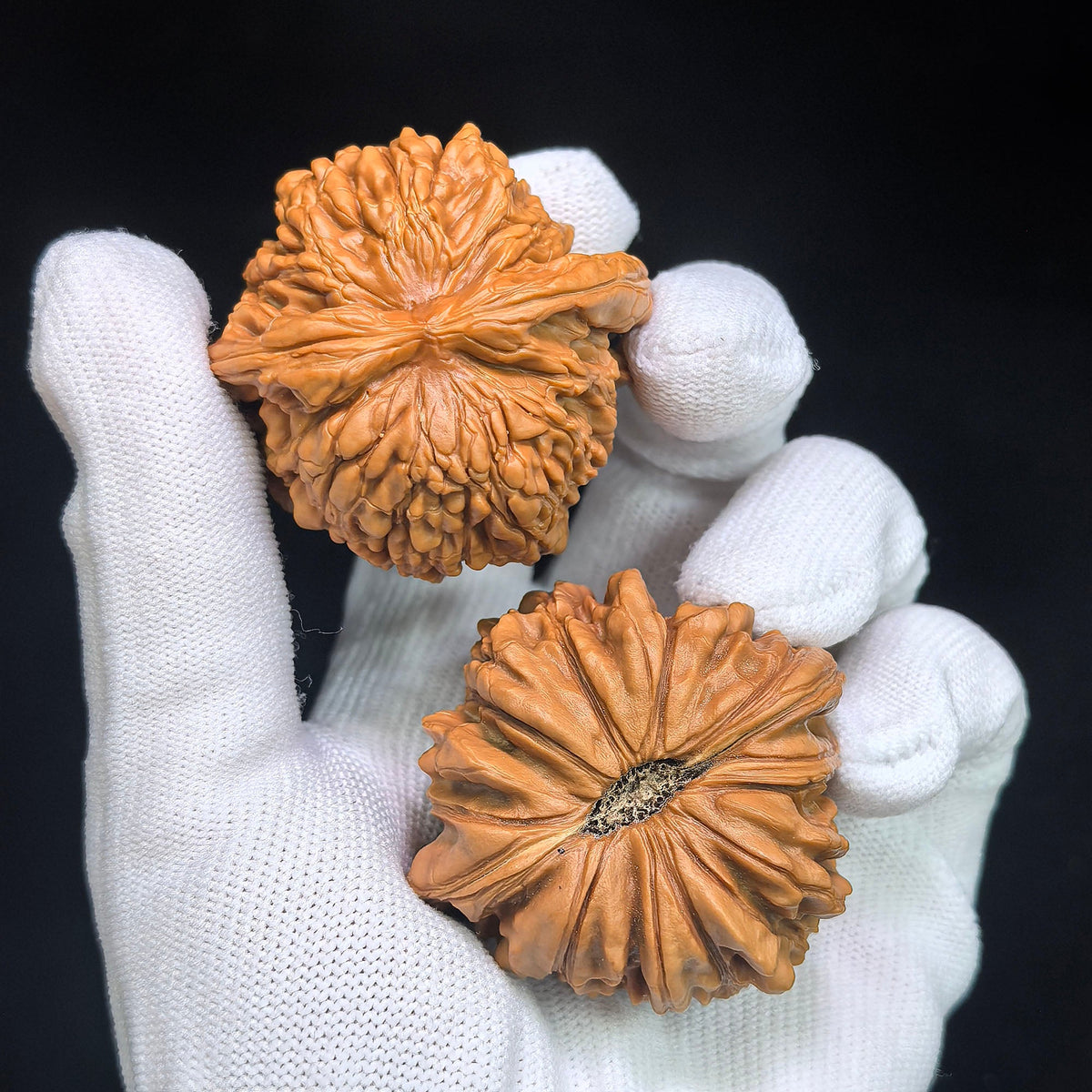 "Hua Kun Long / Chinese Dragon" Heirloom Collection Wenwan Walnuts Pair | 48.0mm x 47.0mm | HKL-1505C - ThePatinaProject