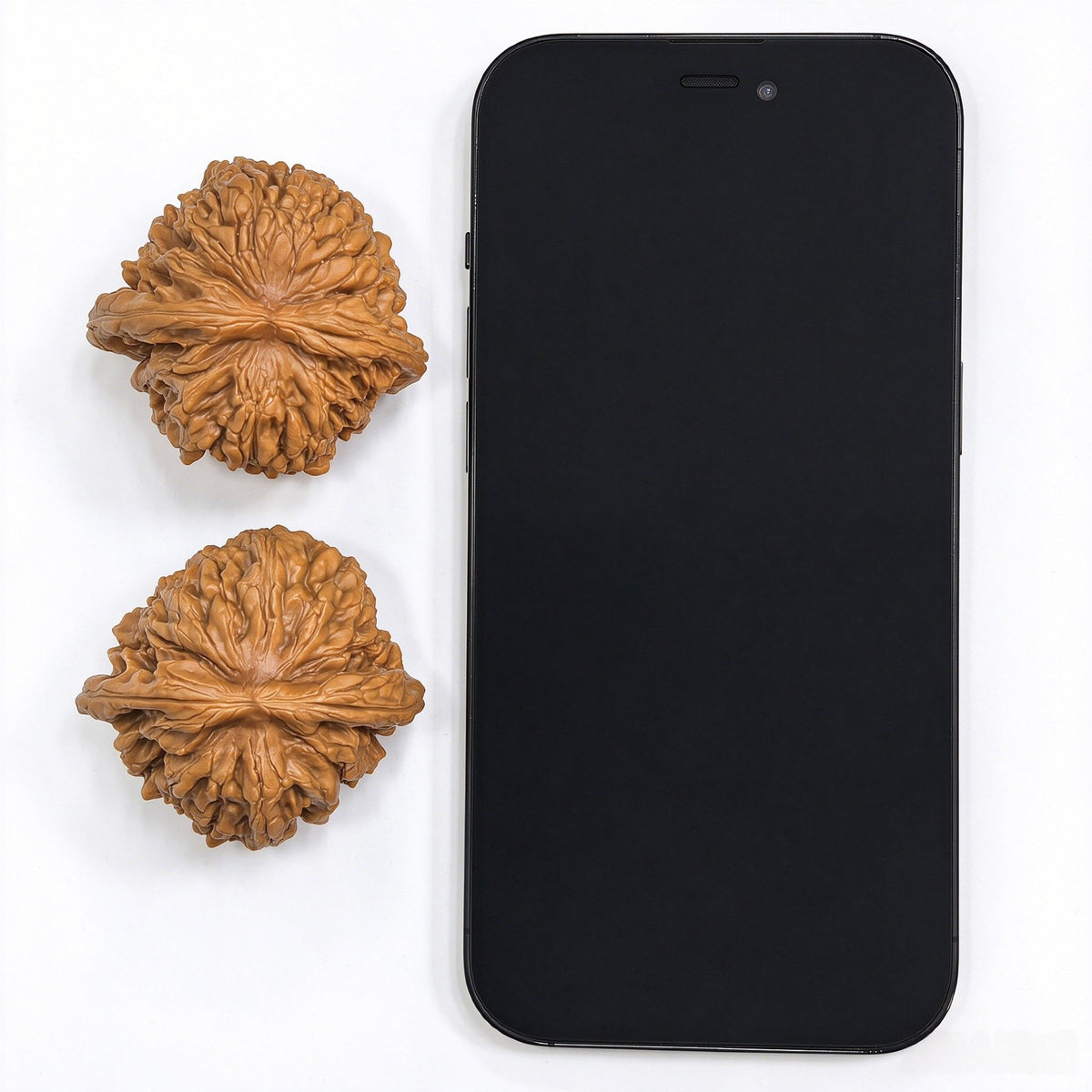 "Hua Kun Long / Chinese Dragon" Heirloom Collection Wenwan Walnuts Pair | 48.0mm x 47.0mm | HKL-1505C - ThePatinaProject