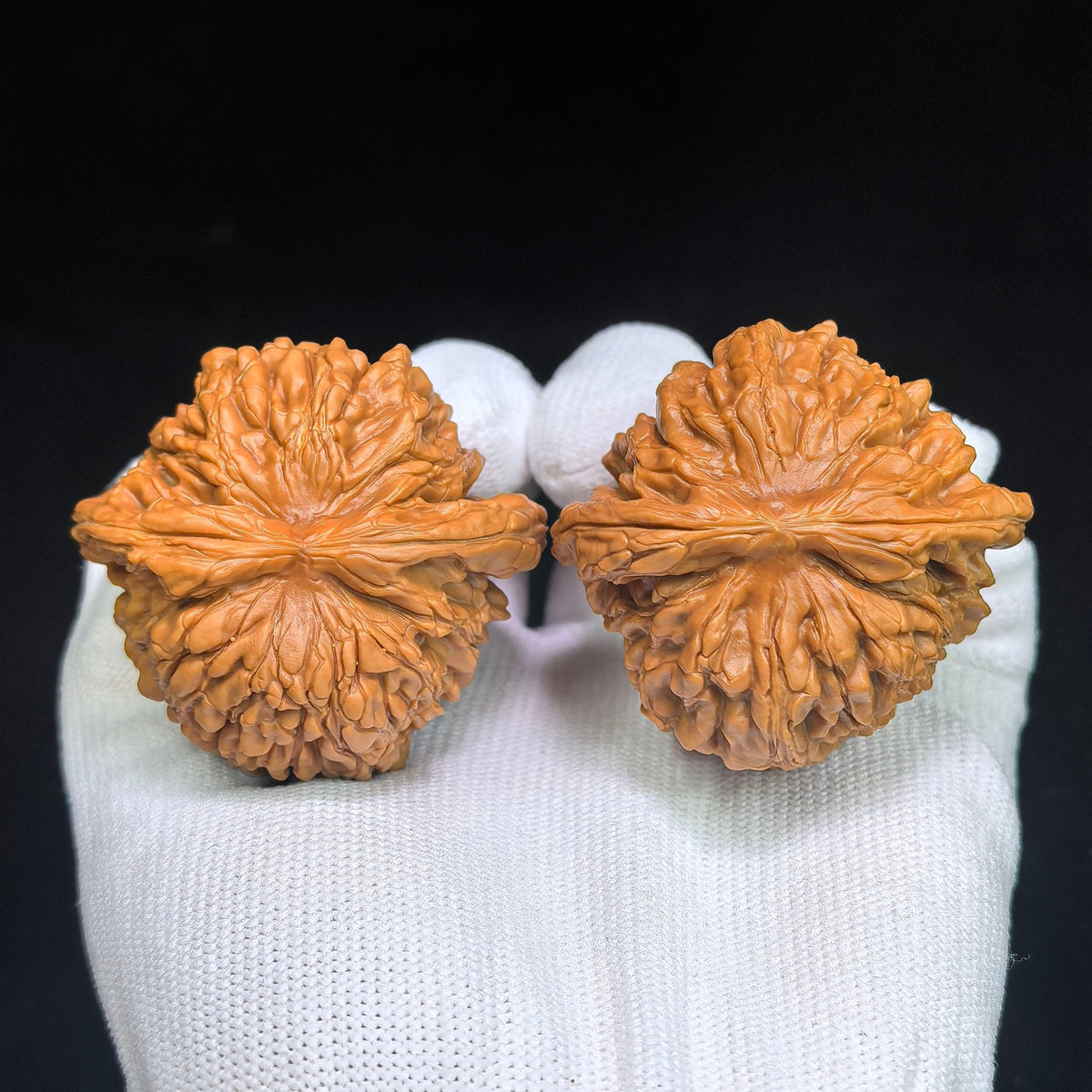 "Hua Kun Long / Chinese Dragon" Heirloom Collection Wenwan Walnuts Pair | 48.0mm x 47.0mm | HKL-1505C - ThePatinaProject