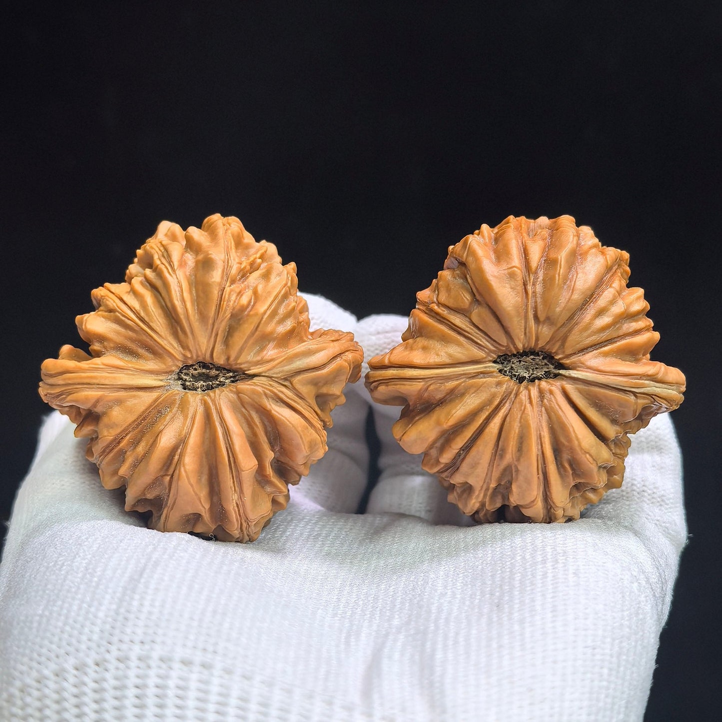 "Hua Kun Long" Huakunlong HTL-17G1 Grand Master Low-Profile Wenwan Walnuts Pair | 48.0mm x 50.0mm | HTL-17G1 - ThePatinaProject