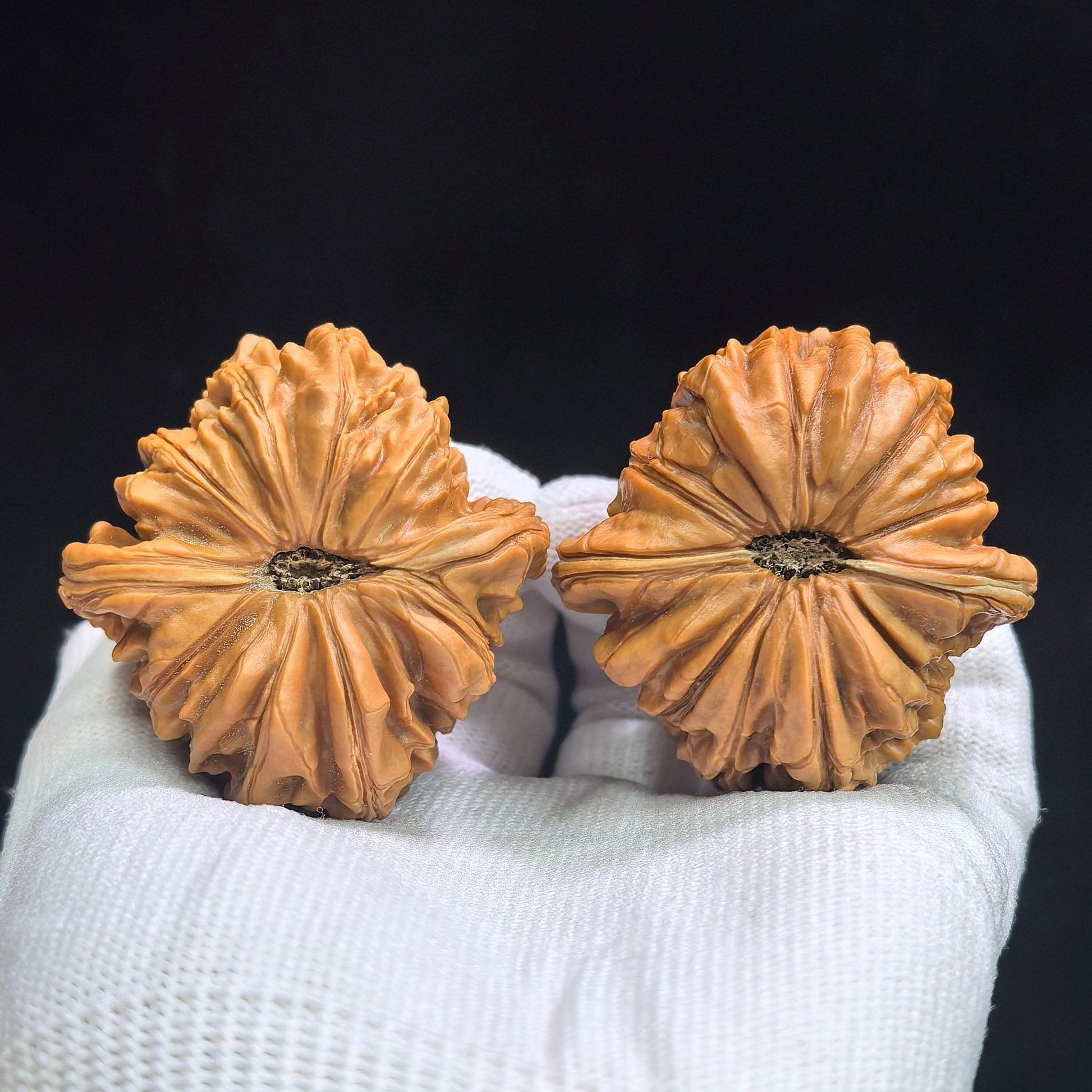 "Hua Kun Long" Huakunlong HTL-17G1 Grand Master Low-Profile Wenwan Walnuts Pair | 48.0mm x 50.0mm | HTL-17G1 - ThePatinaProject