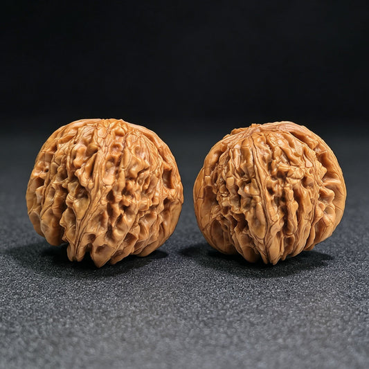 "Hua Kun Long" Huakunlong HTL-17G1 Grand Master Low-Profile Wenwan Walnuts Pair | 48.0mm x 50.0mm | HTL-17G1 - ThePatinaProject