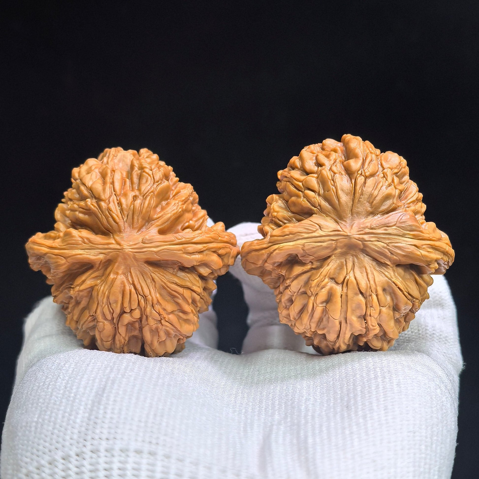 "Hua Kun Long" Huakunlong HTL-17G1 Grand Master Low-Profile Wenwan Walnuts Pair | 48.0mm x 50.0mm | HTL-17G1 - ThePatinaProject