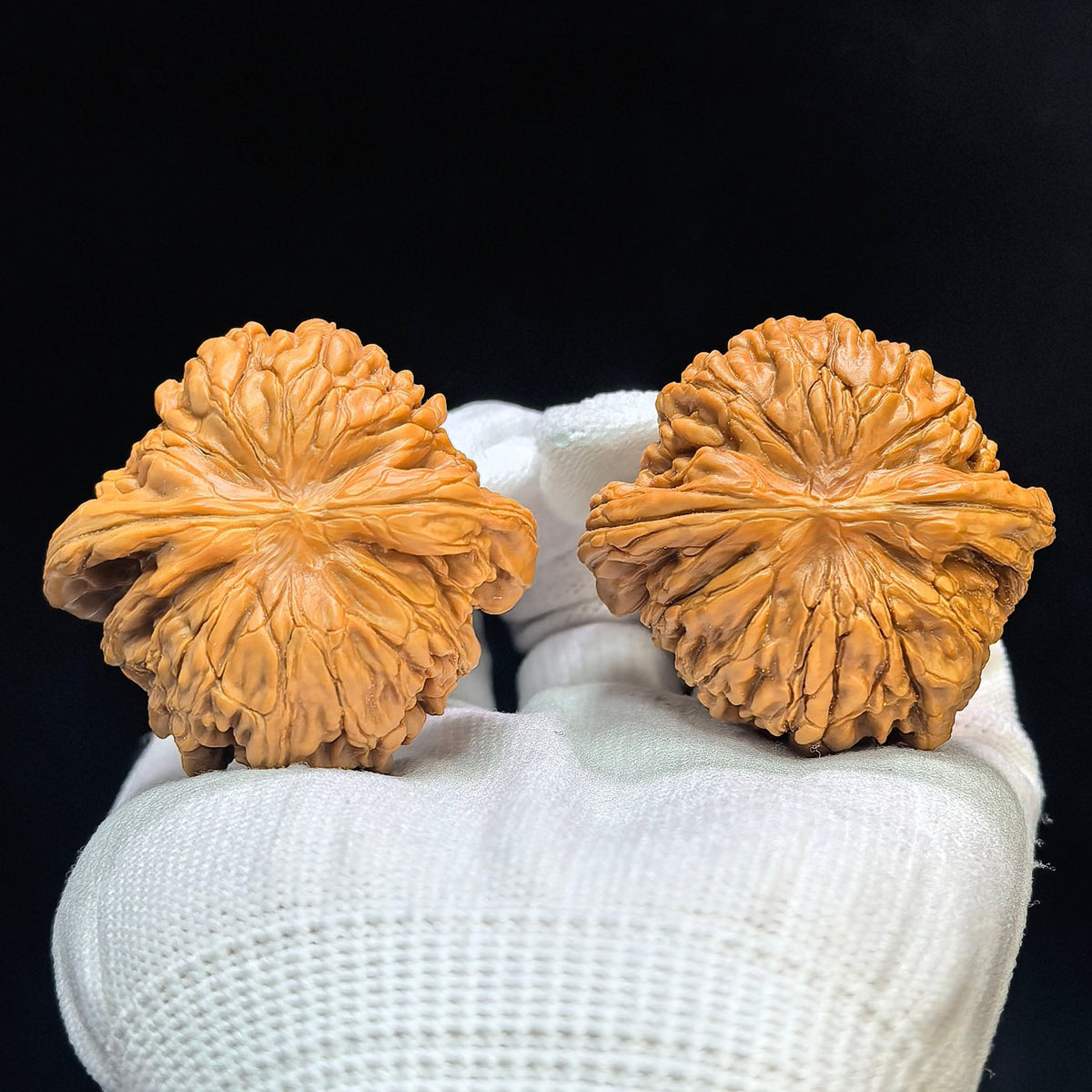 "Huakun Dragon" Huakunlong Low-Profile Wenwan Walnuts Pair | 46.0mm x 44.0mm | HKL-1502C - ThePatinaProject