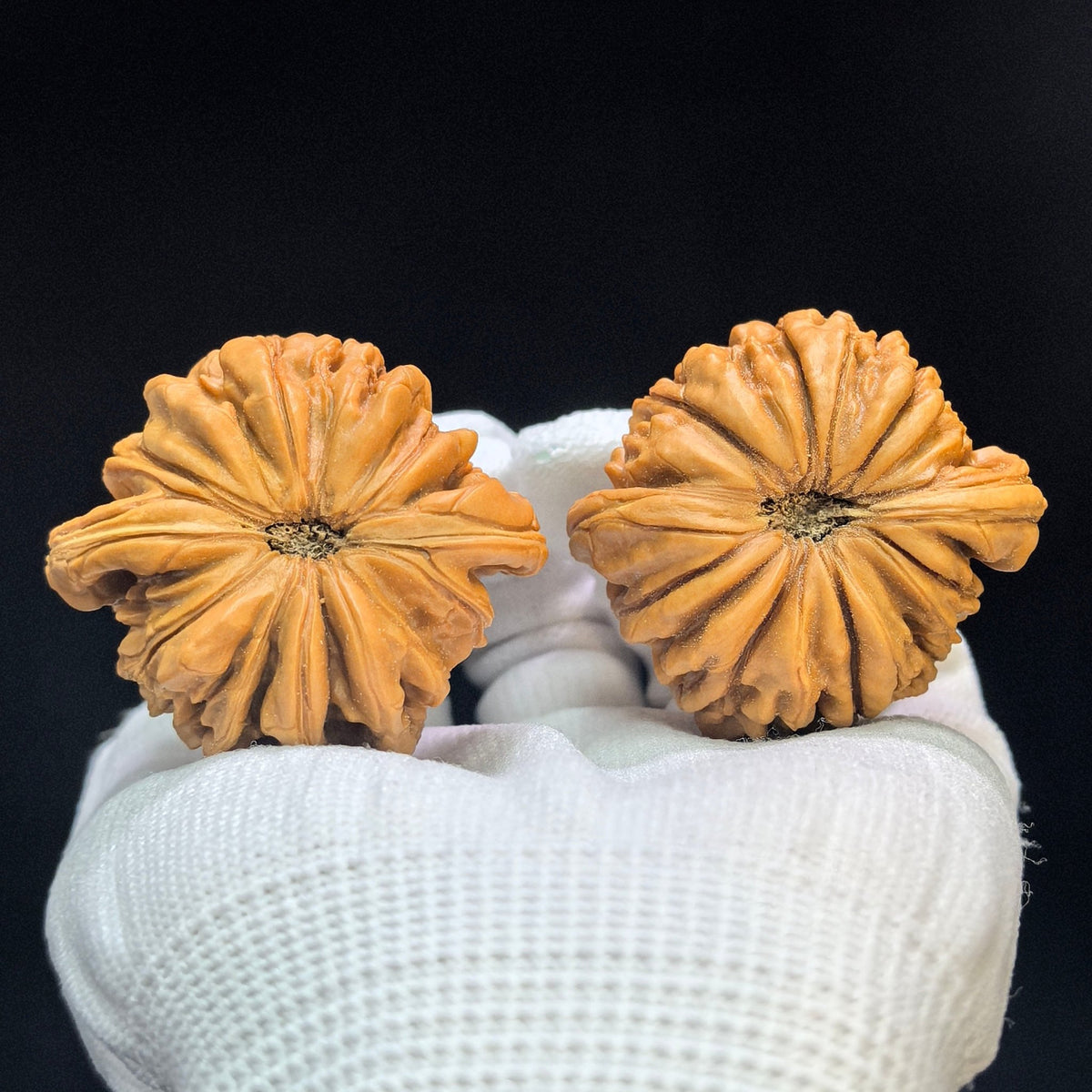 "Huakun Dragon" Huakunlong Low-Profile Wenwan Walnuts Pair | 46.0mm x 44.0mm | HKL-1502C - ThePatinaProject
