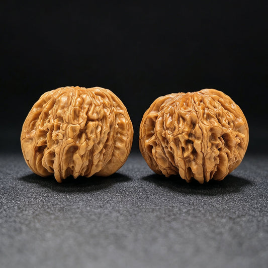 "Huakun Dragon" Huakunlong Low-Profile Wenwan Walnuts Pair | 48.0mm x 48.0mm | HKL-1503C - ThePatinaProject