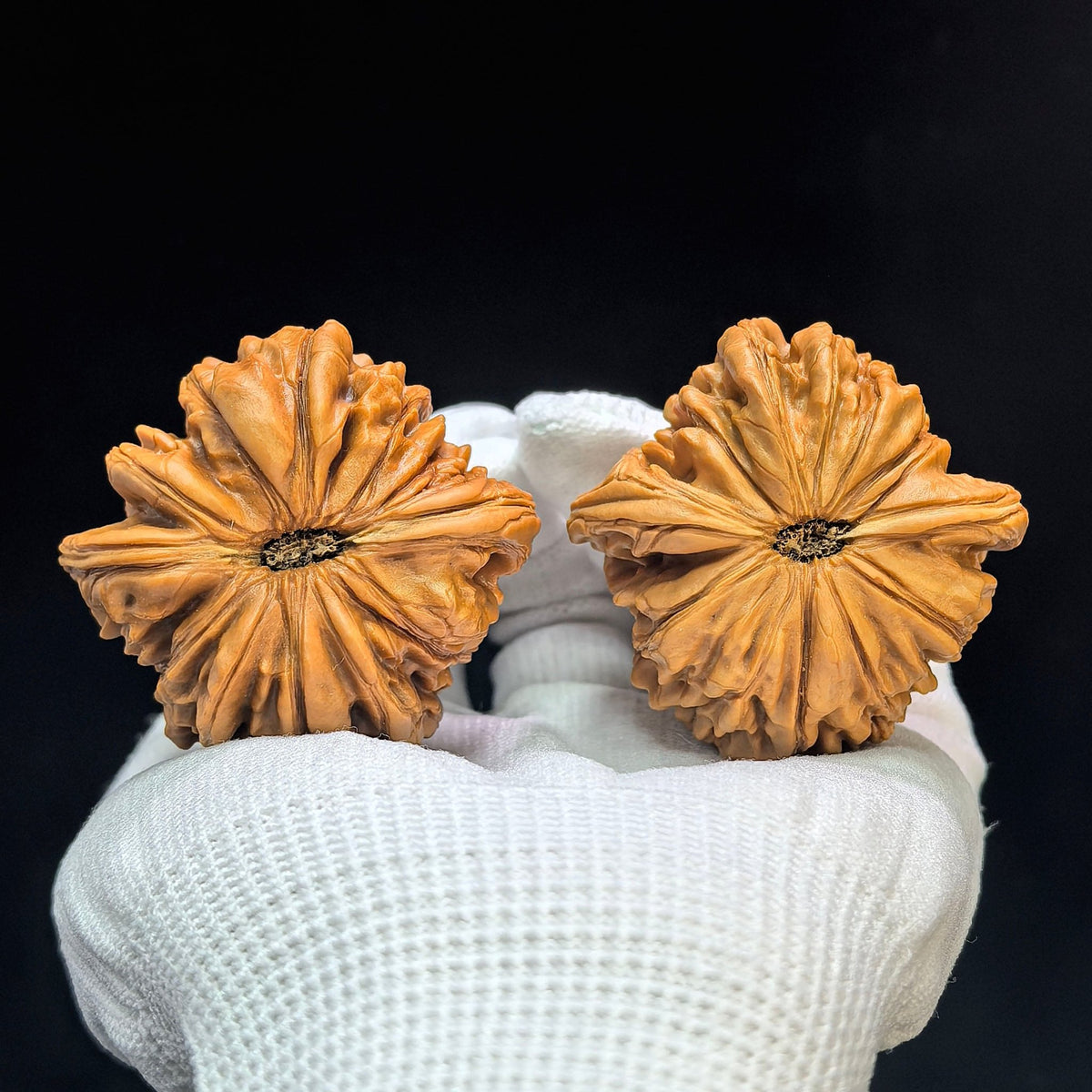 "Huakun Dragon" Huakunlong Low-Profile Wenwan Walnuts Pair | 48.0mm x 48.0mm | HKL-1503C - ThePatinaProject
