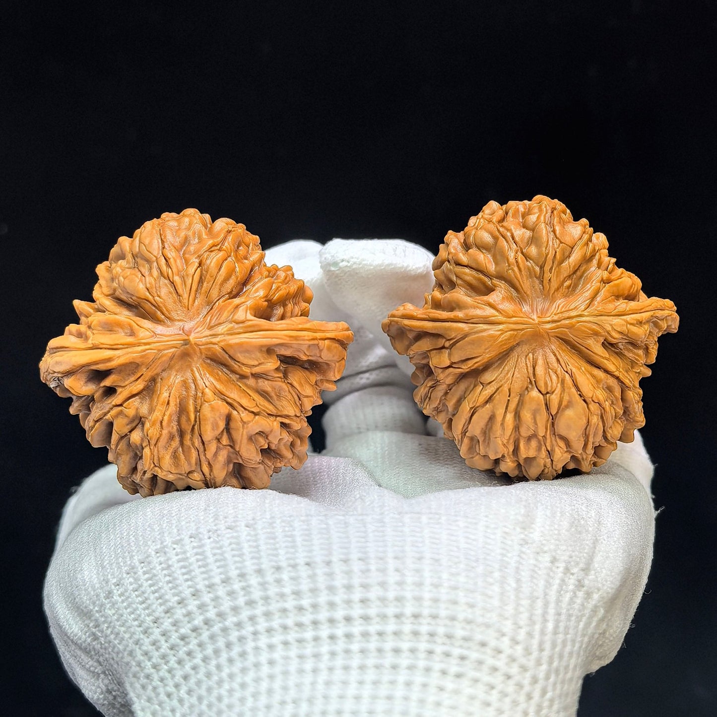"Huakun Dragon" Huakunlong Low-Profile Wenwan Walnuts Pair | 48.0mm x 48.0mm | HKL-1503C - ThePatinaProject