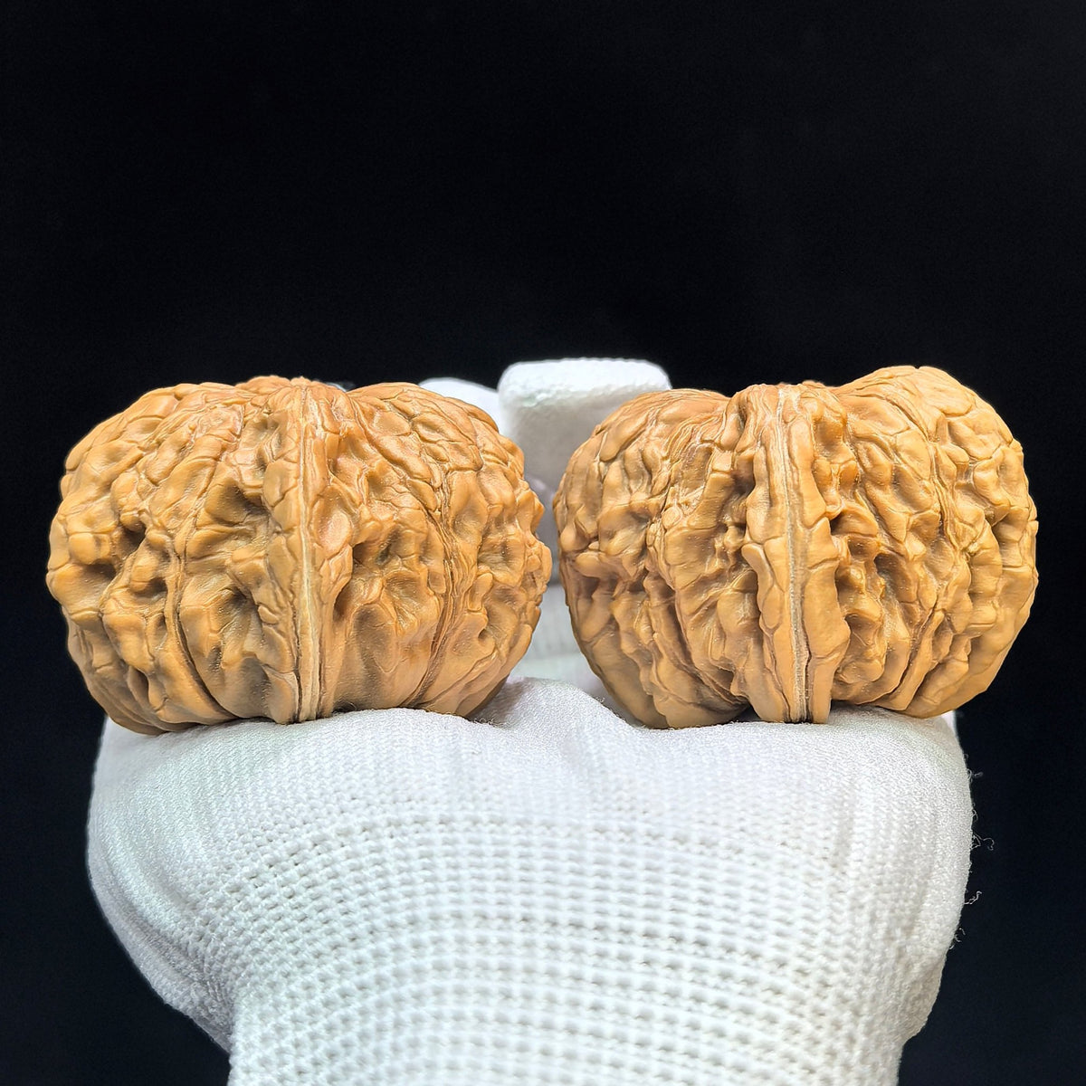 "Huakun Dragon" Huakunlong Low-Profile Wenwan Walnuts Pair | 50.0mm x 50.0mm | HKL-1504C - ThePatinaProject