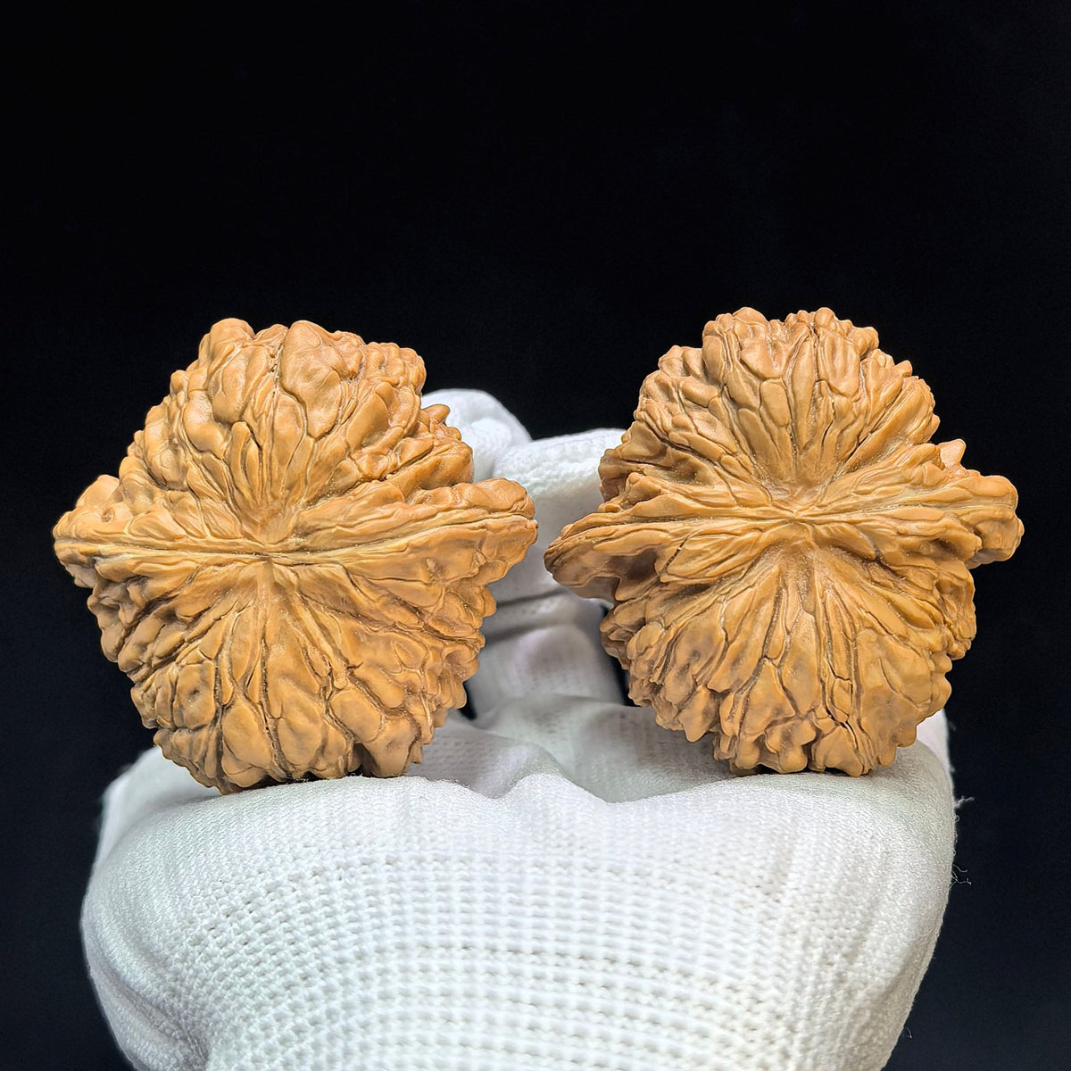"Huakun Dragon" Huakunlong Low-Profile Wenwan Walnuts Pair | 50.0mm x 50.0mm | HKL-1504C - ThePatinaProject