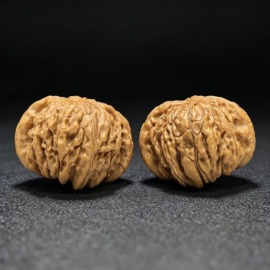 "Huakun Dragon" Huakunlong Low-Profile Wenwan Walnuts Pair | 50.0mm x 50.0mm | HKL-1504C - ThePatinaProject